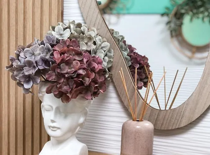 旅馆 The Pod Blasco *